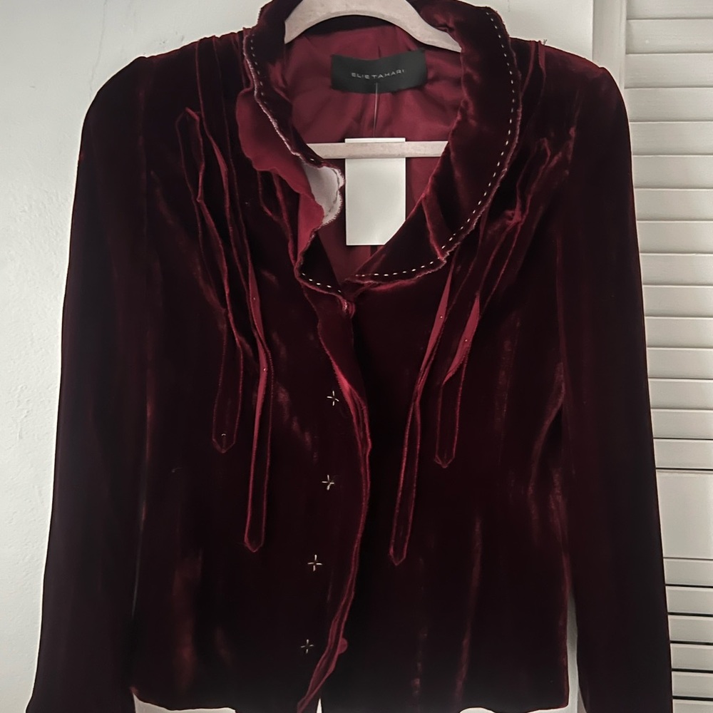 Velvet Burgundy Blouse